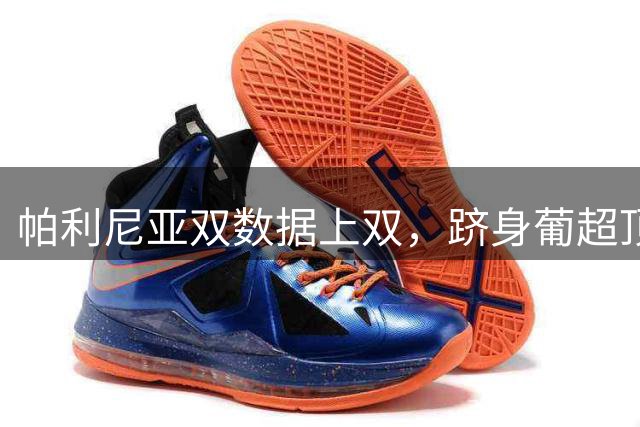 帕利尼亚双数据上双，跻身葡超顶尖表现行列